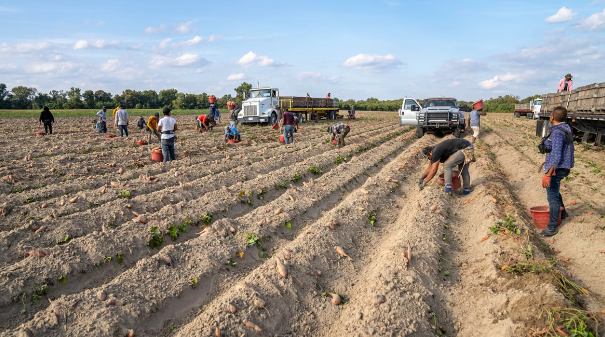 H Land Farming Co. Ltd. - Farming & Agricultural Services in Bashaw, Alberta